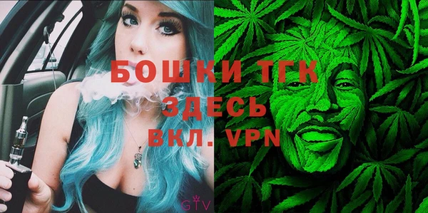 стафф Инта