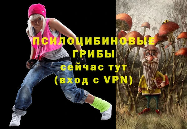 стафф Инта