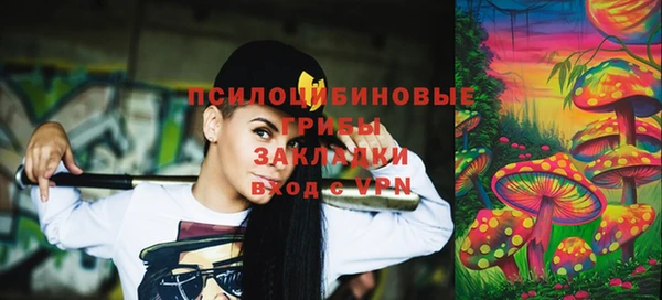 стафф Зерноград