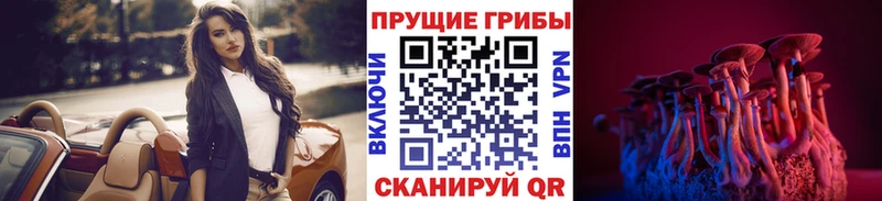 Галлюциногенные грибы Magic Shrooms  где купить наркоту  Сим 