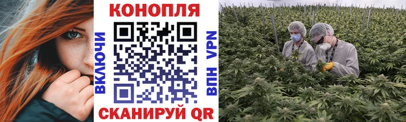 сколько стоит  Сим  Конопля LSD WEED 